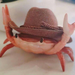 Meet your Posher, Celestial